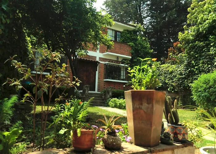 In The Forest Of Cdmx Casa de férias